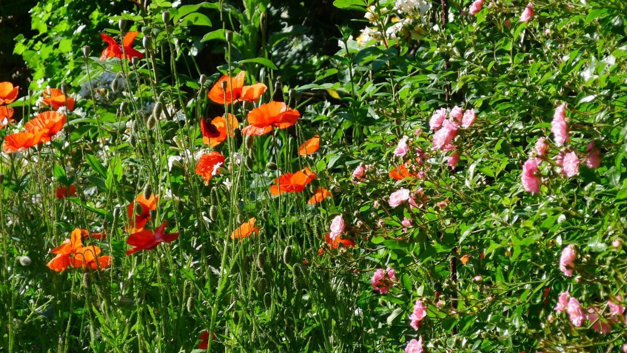 Le Petit Potager Montbel (Ariege) Bagian luar foto